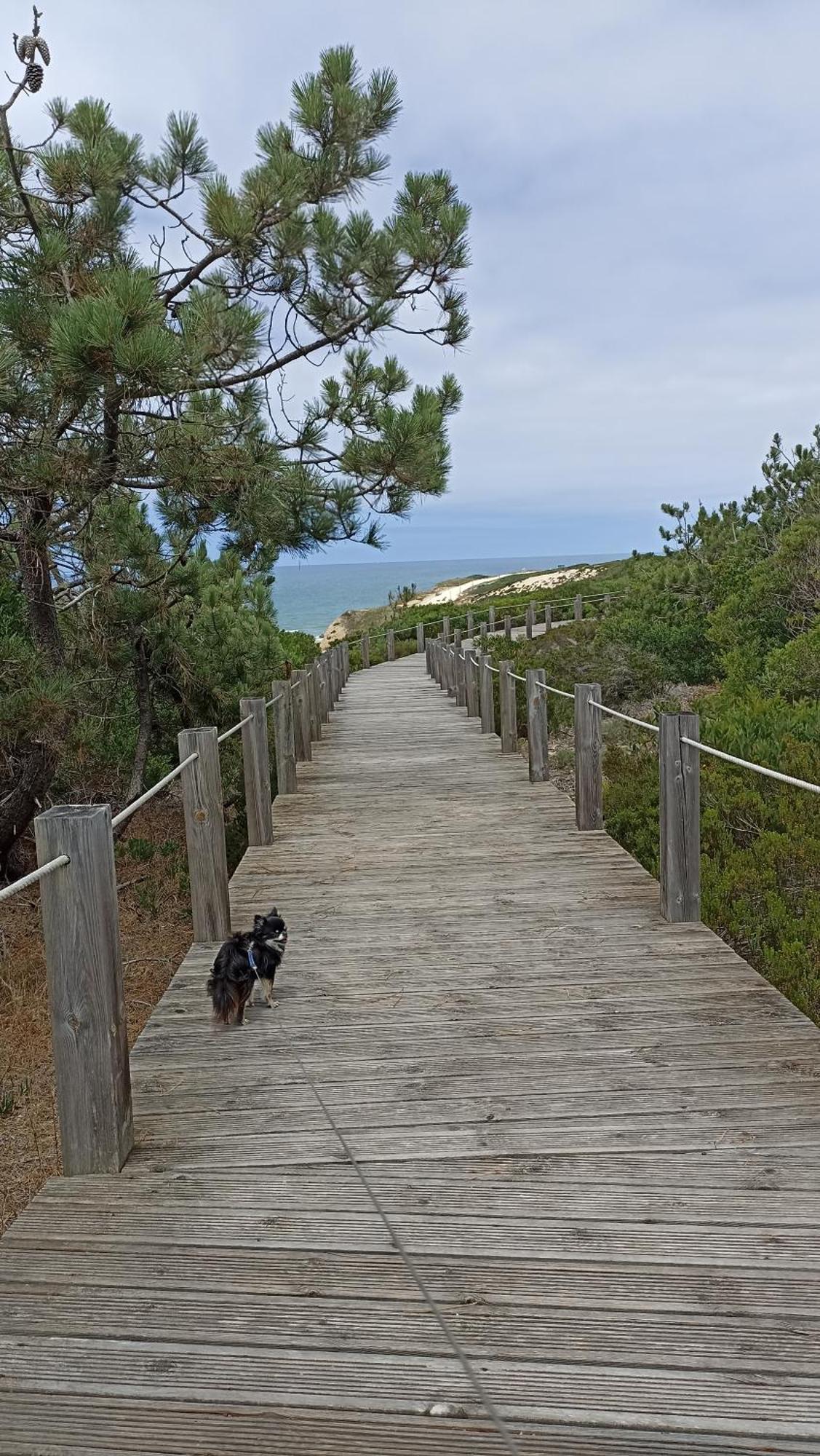 Tinyhouse Tilda - Near Famous Beaches パタイアス エクステリア 写真