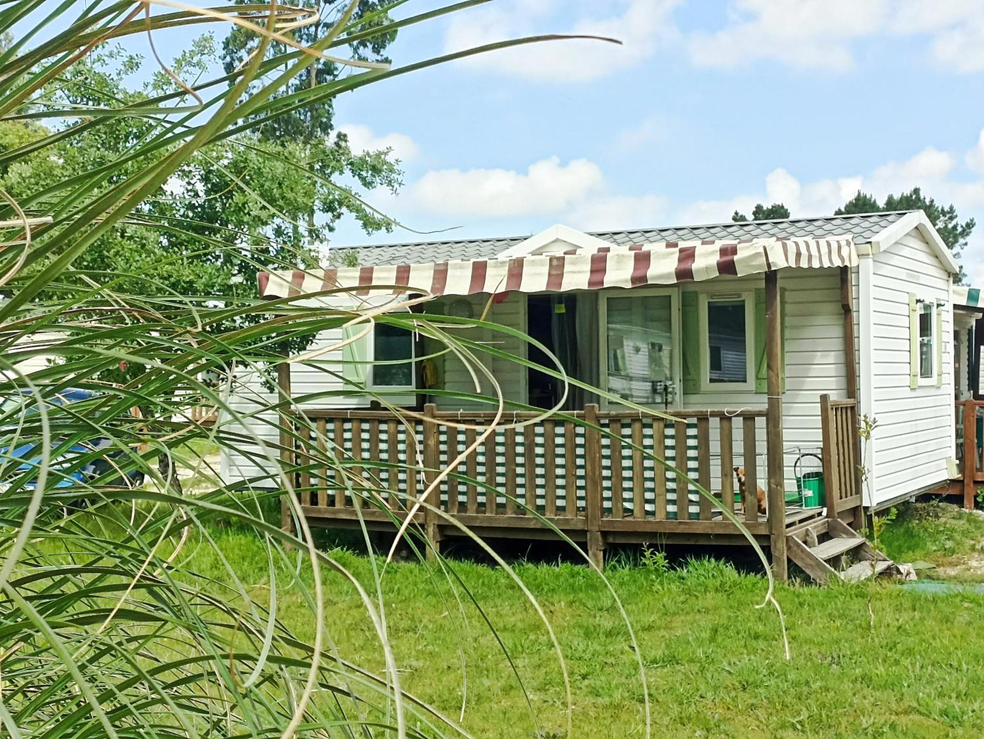 Tinyhouse Tilda - Near Famous Beaches パタイアス エクステリア 写真