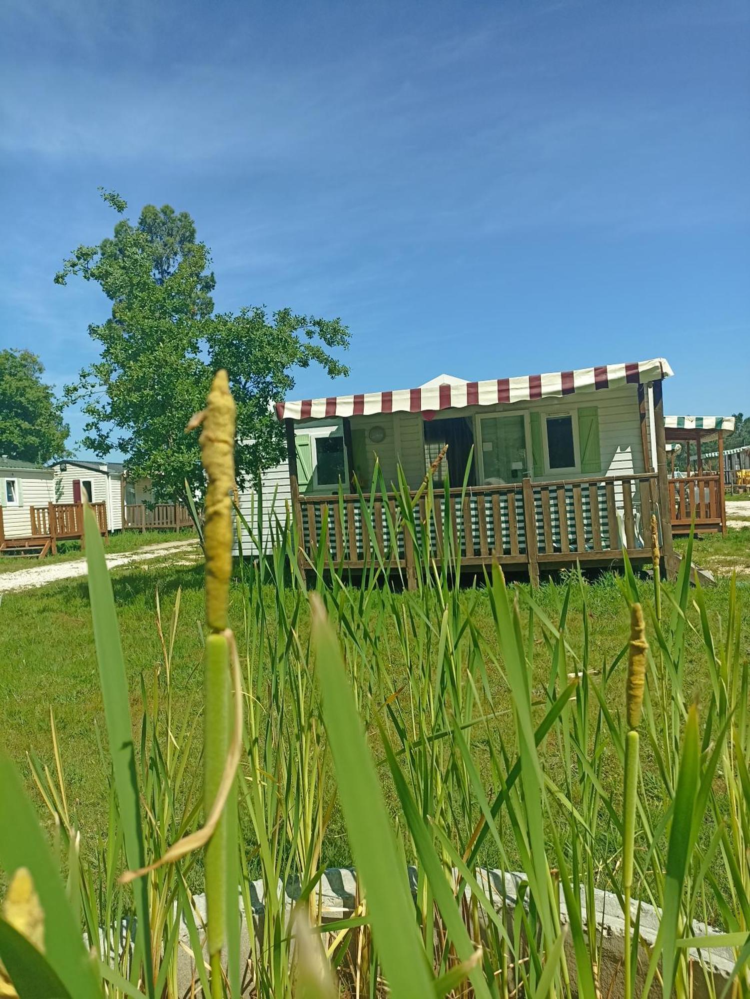 Tinyhouse Tilda - Near Famous Beaches パタイアス エクステリア 写真